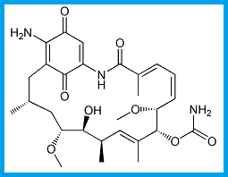 GELDANAMYCIN 17-AMINO